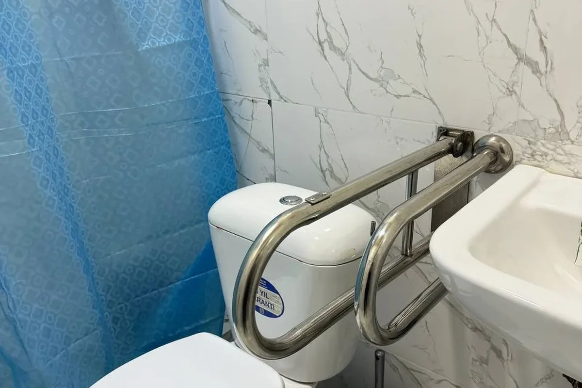 Interior · Accessible toilet — two-sided folding handrails make support and sitting down / standing up easier.